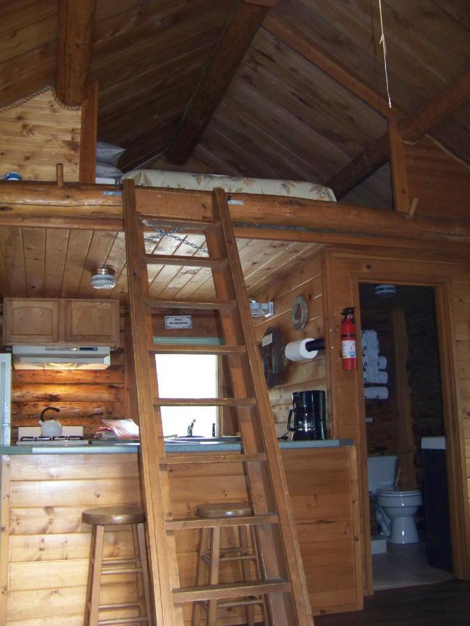 Box Canyon Cabins Seward Eksteriør bilde